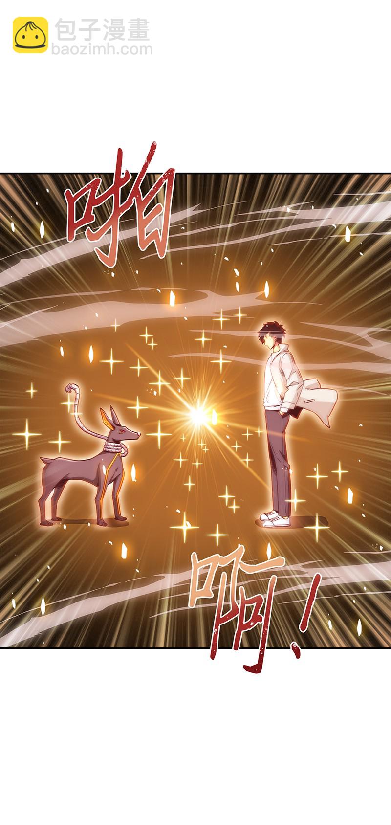 076 训练狗狗41