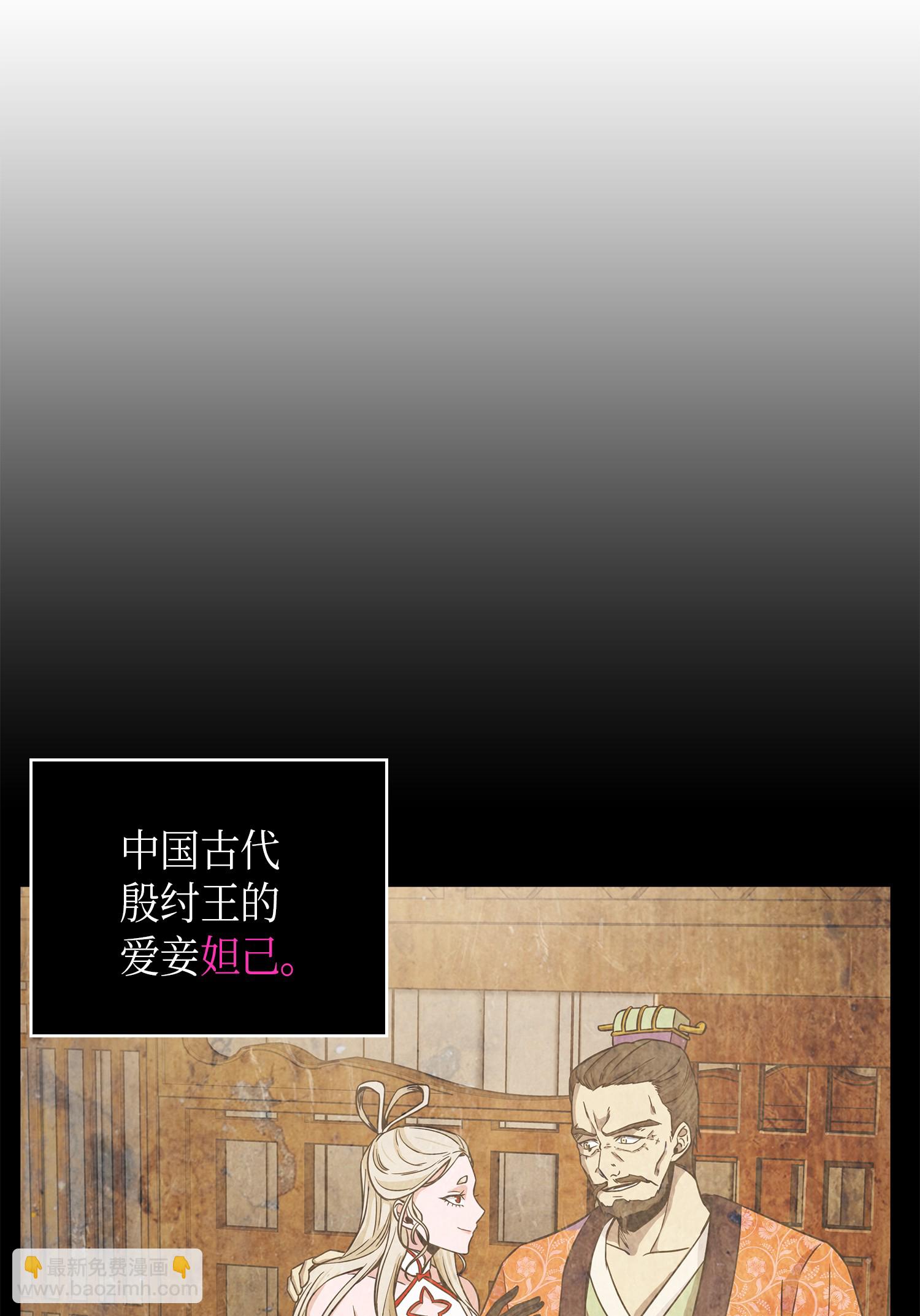 096 妲己宝物4