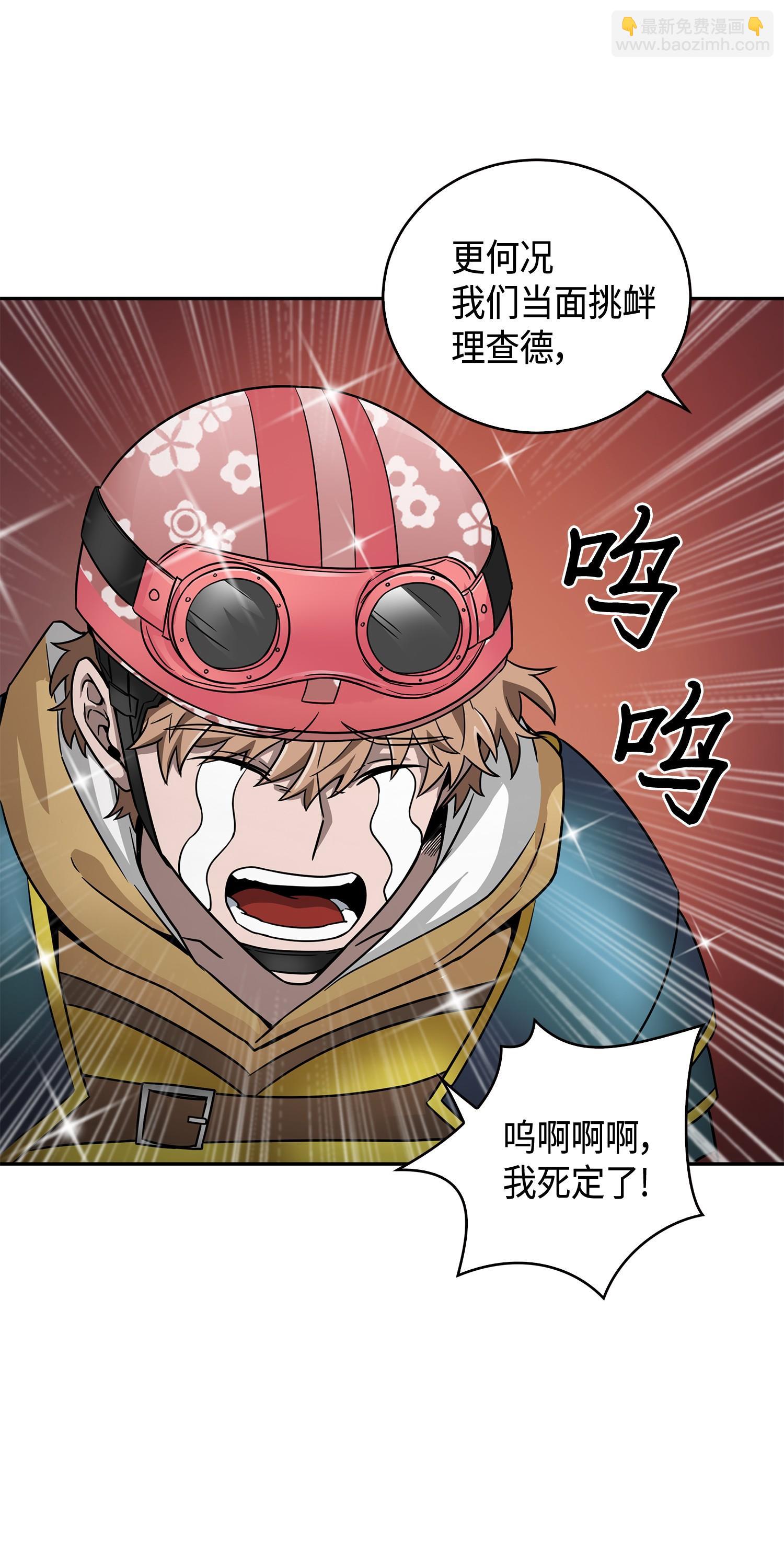 113 反击里查德29