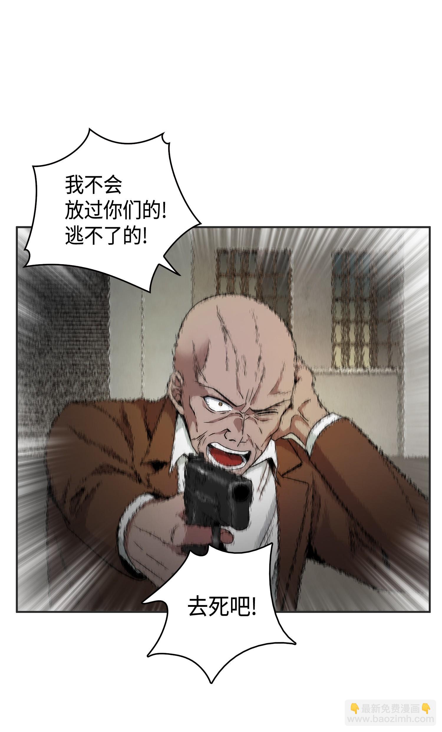 113 反击里查德71