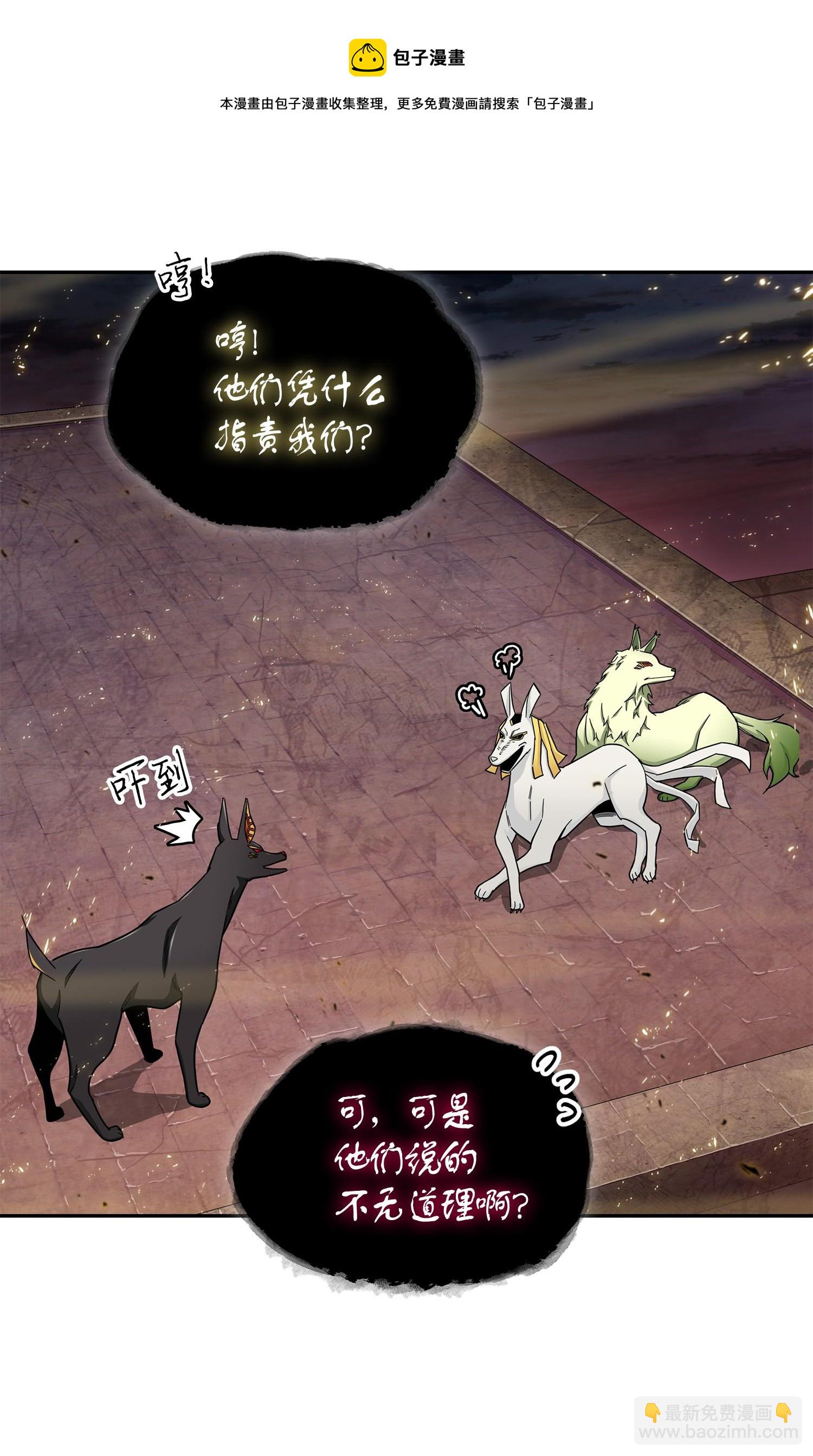 147 伪装12