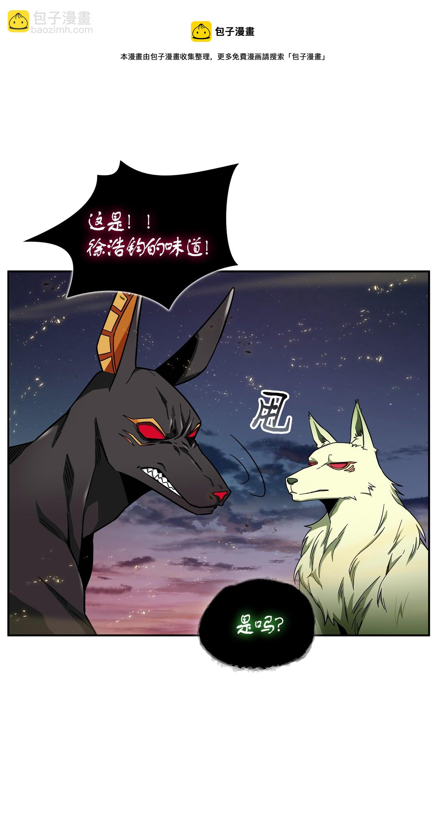 147 伪装20
