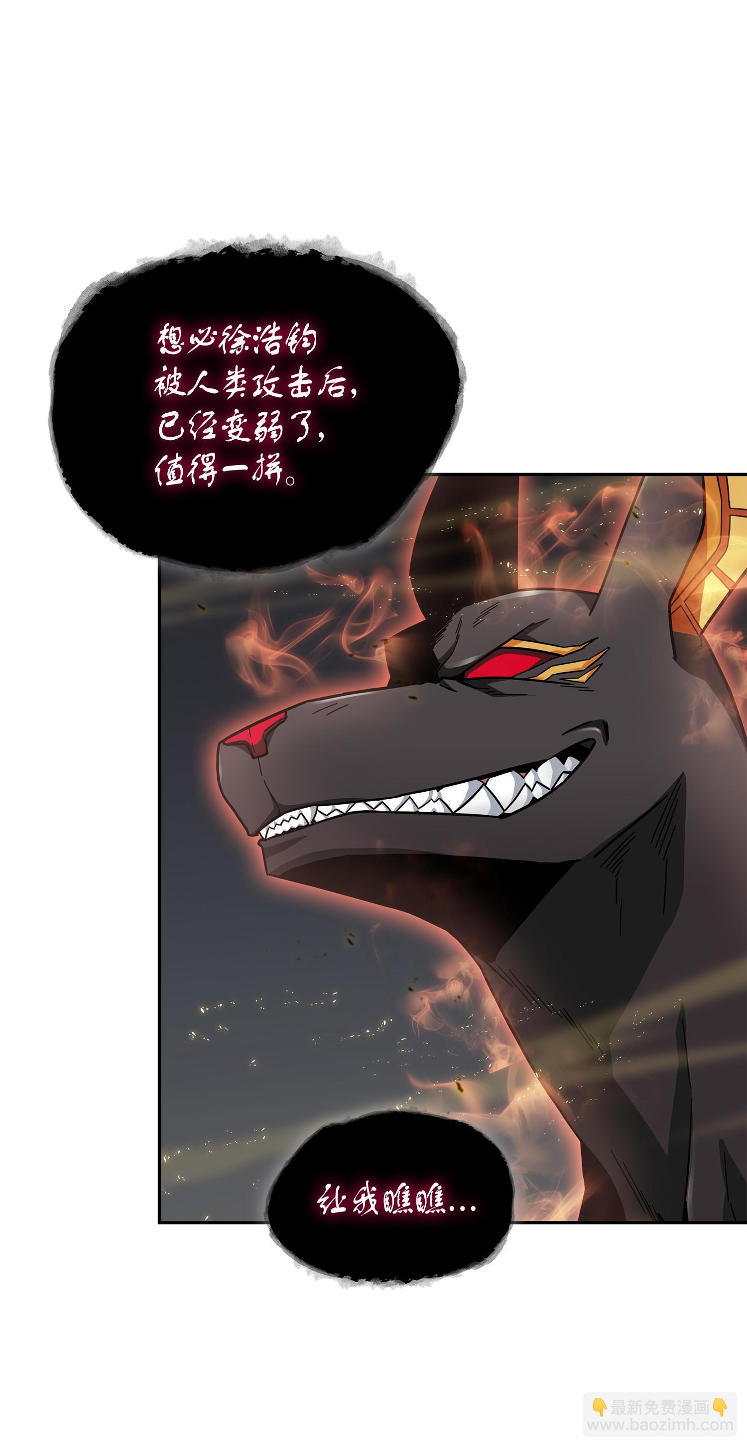 147 伪装22