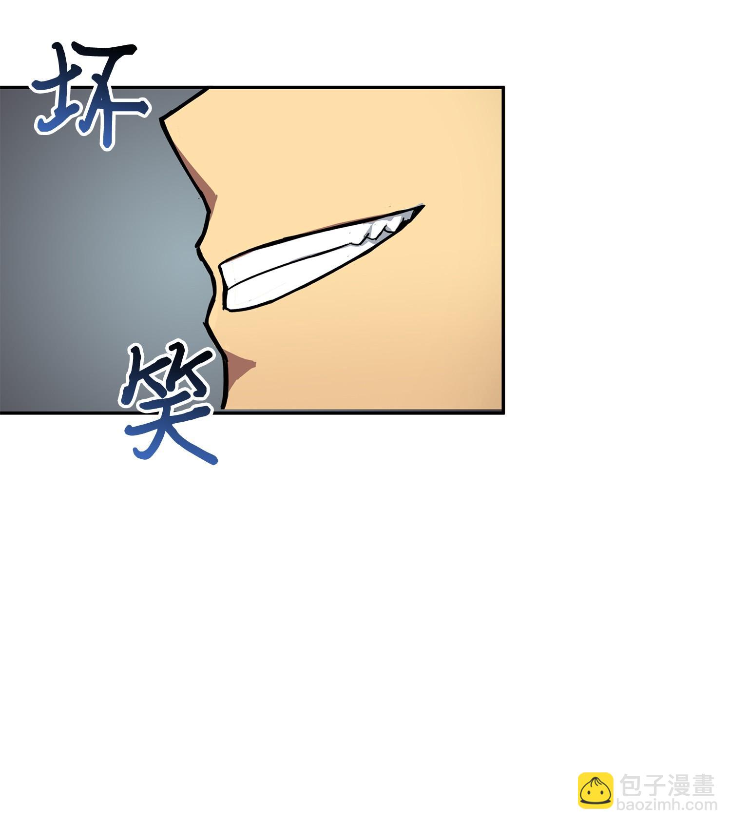 147 伪装33