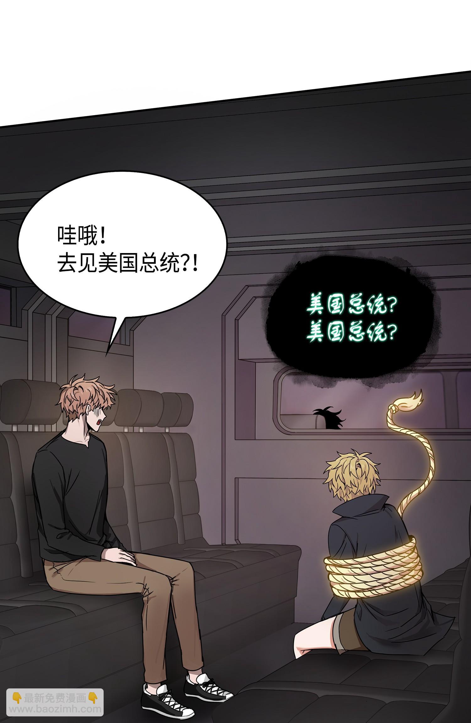 147 伪装45