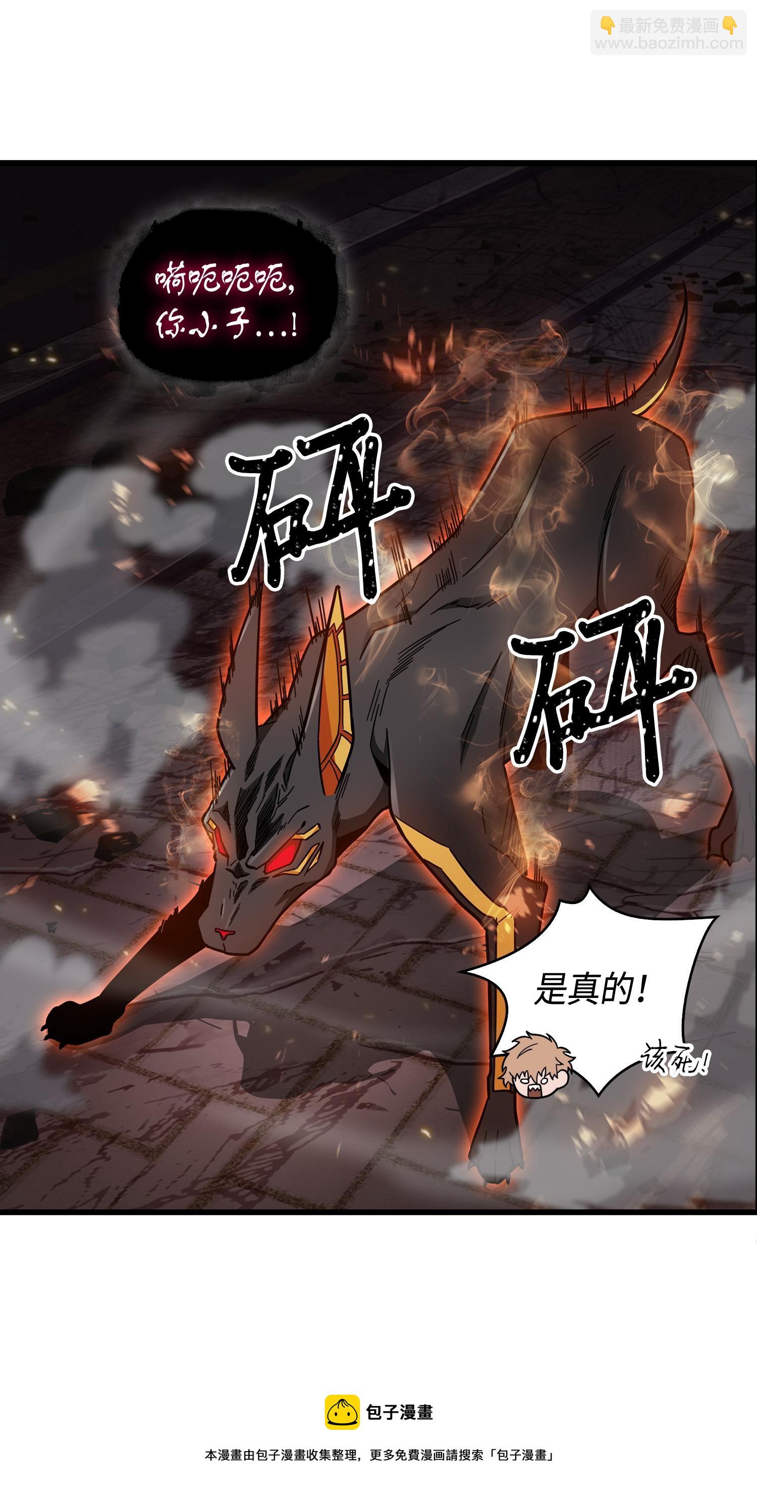 147 伪装88