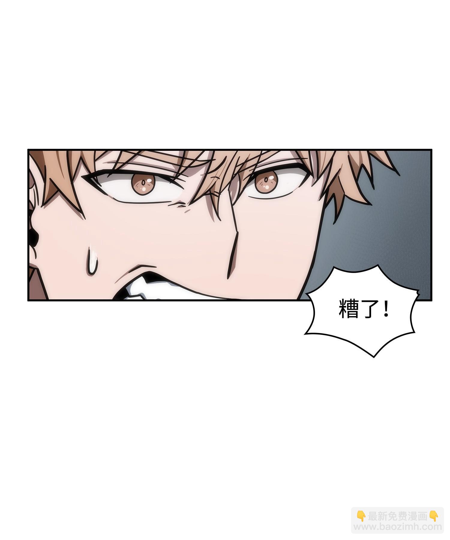 198 狸猫换太子27