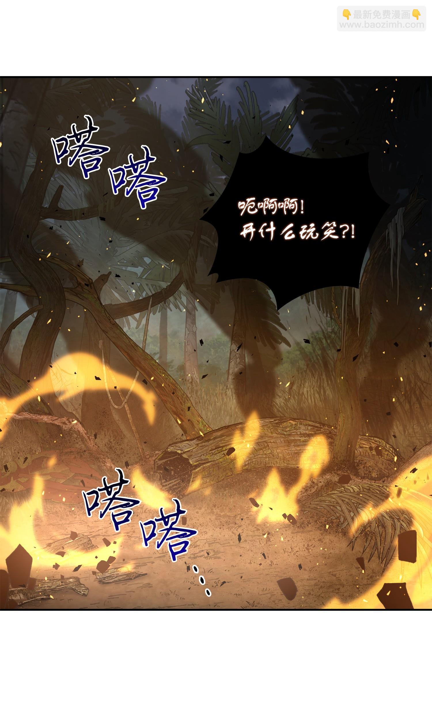241 各自为战63