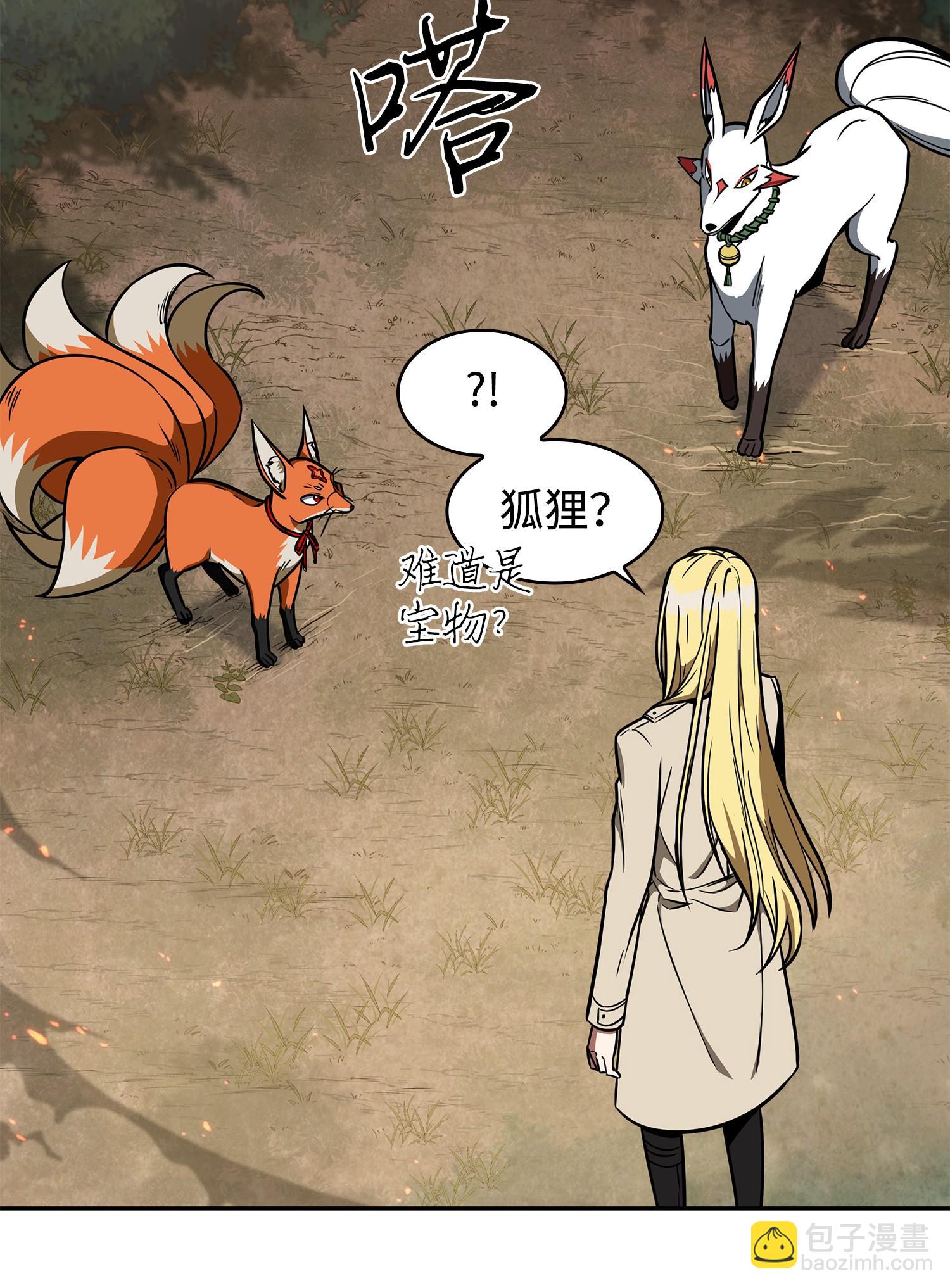 242 至宝11