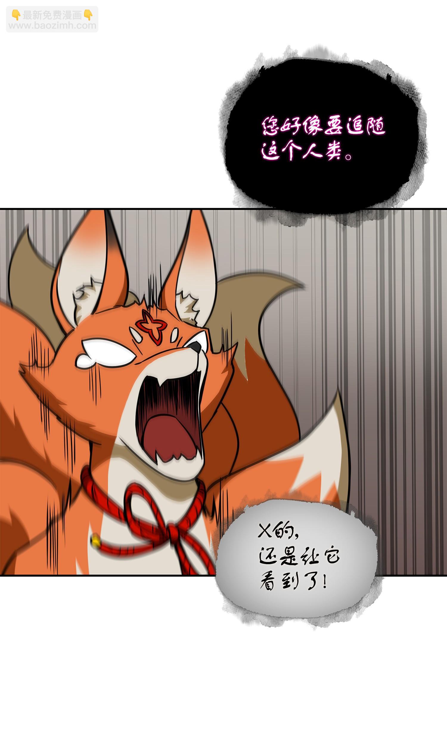 242 至宝21