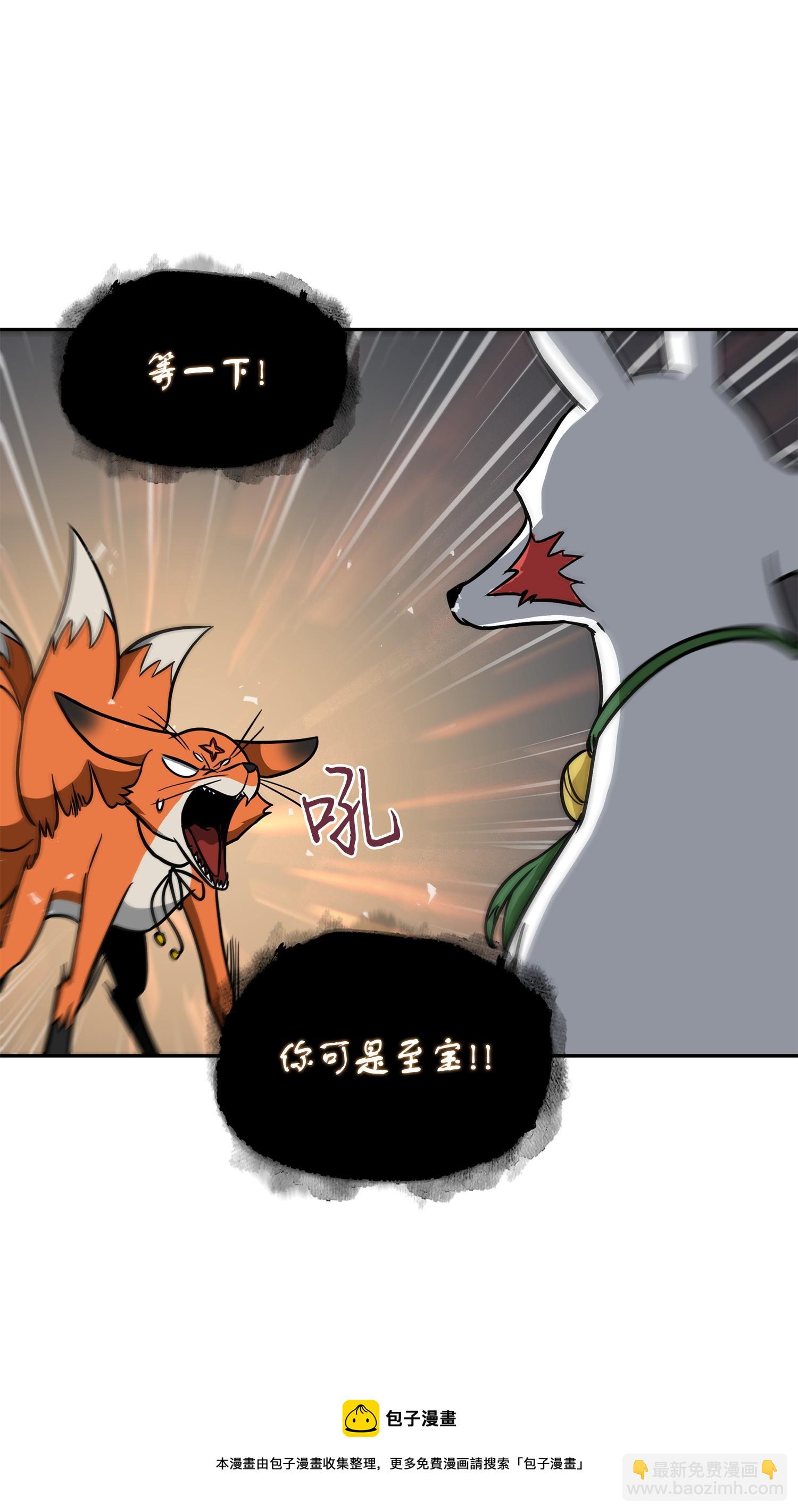 242 至宝28