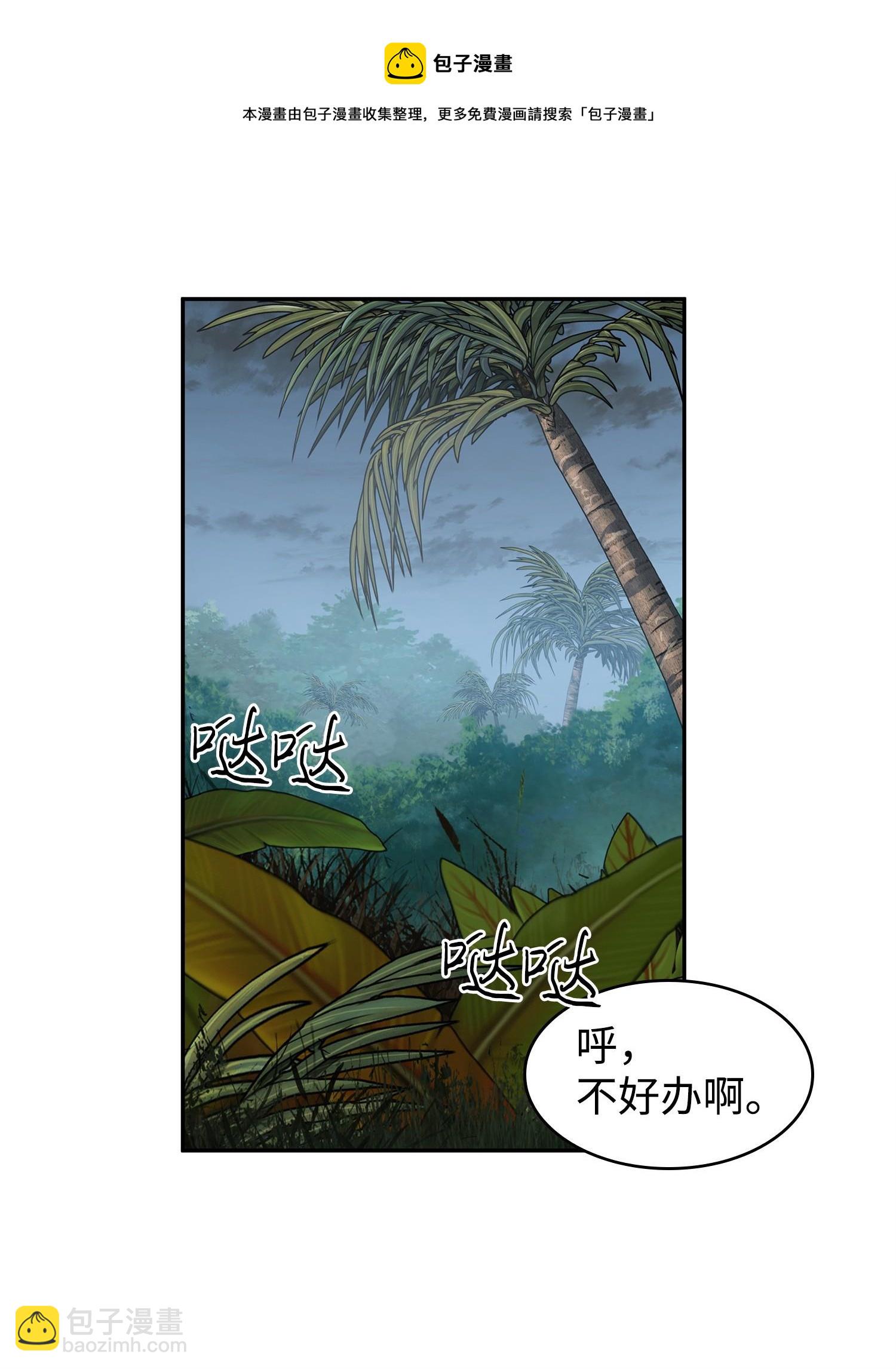 244 乌鸦28