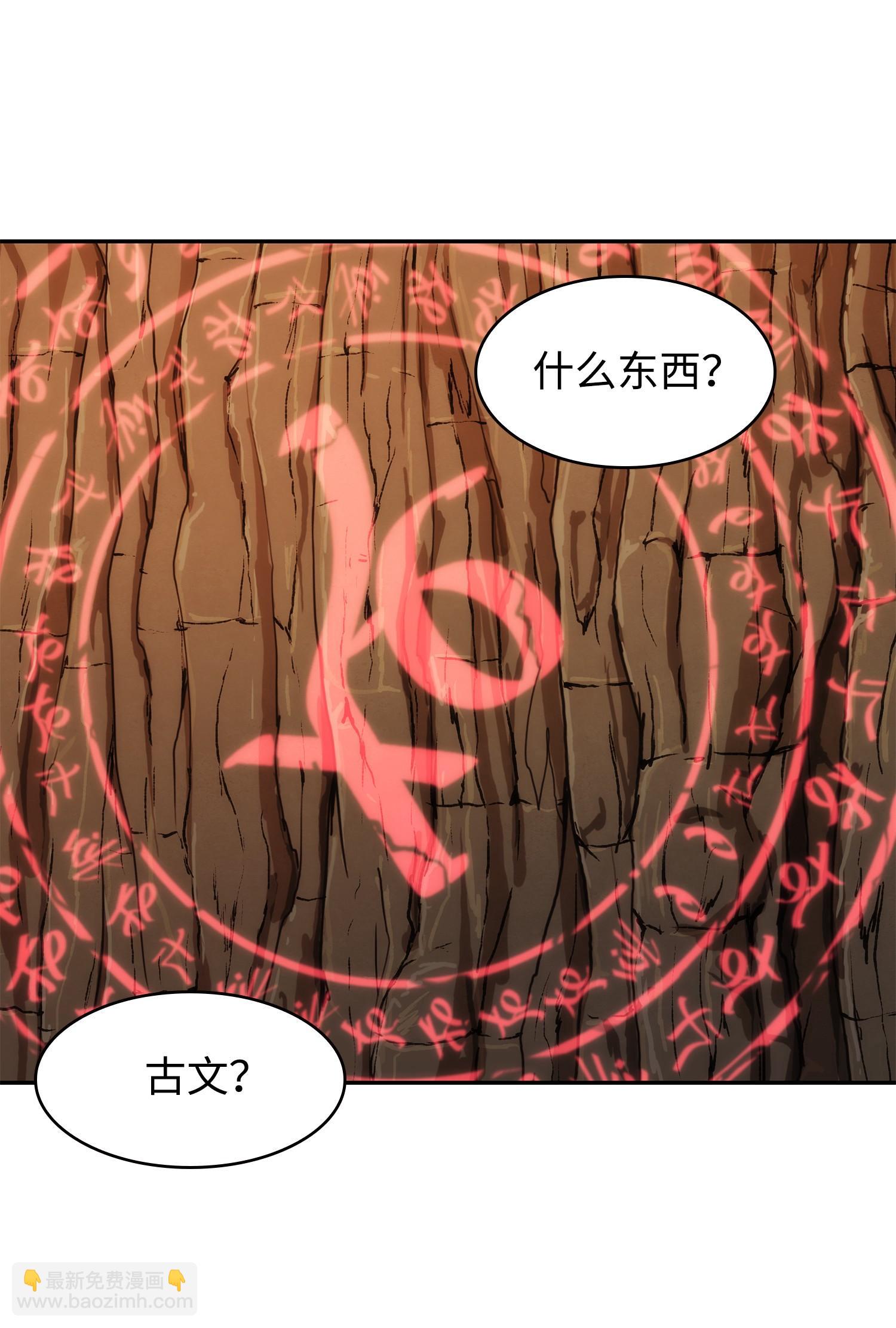 244 乌鸦47