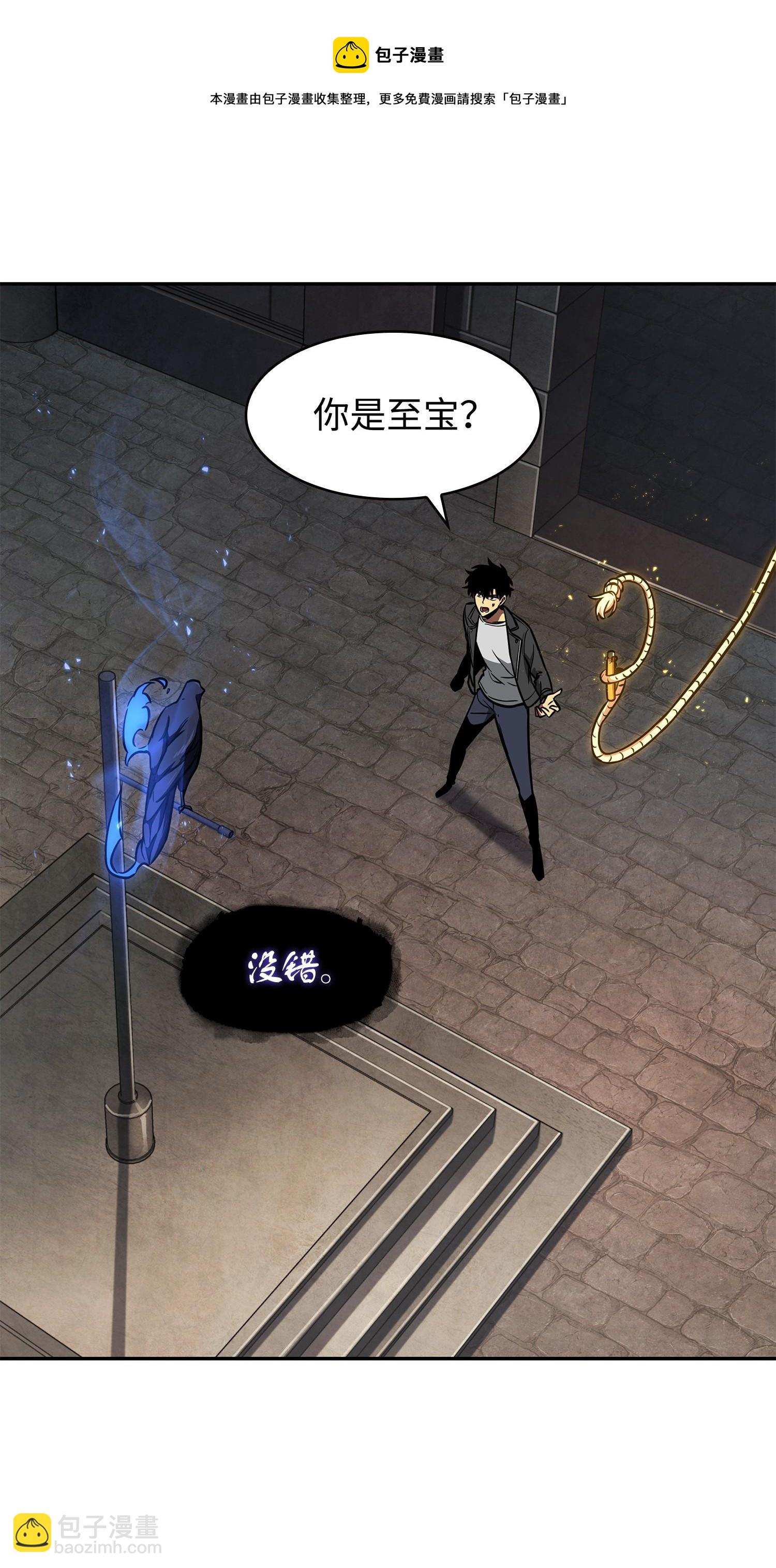 244 乌鸦64