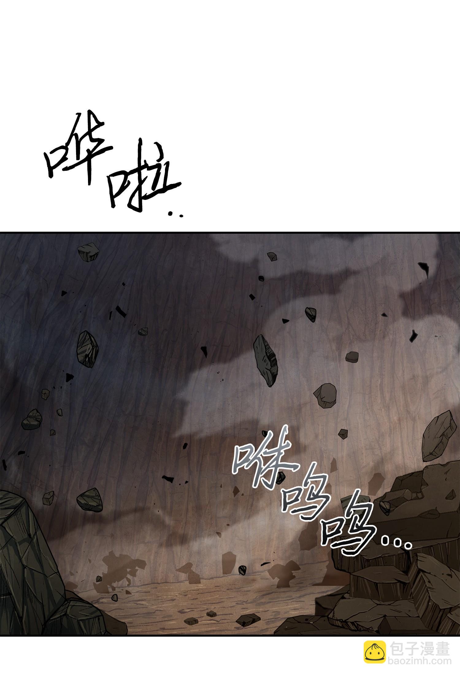 247 乌鸦的目的35