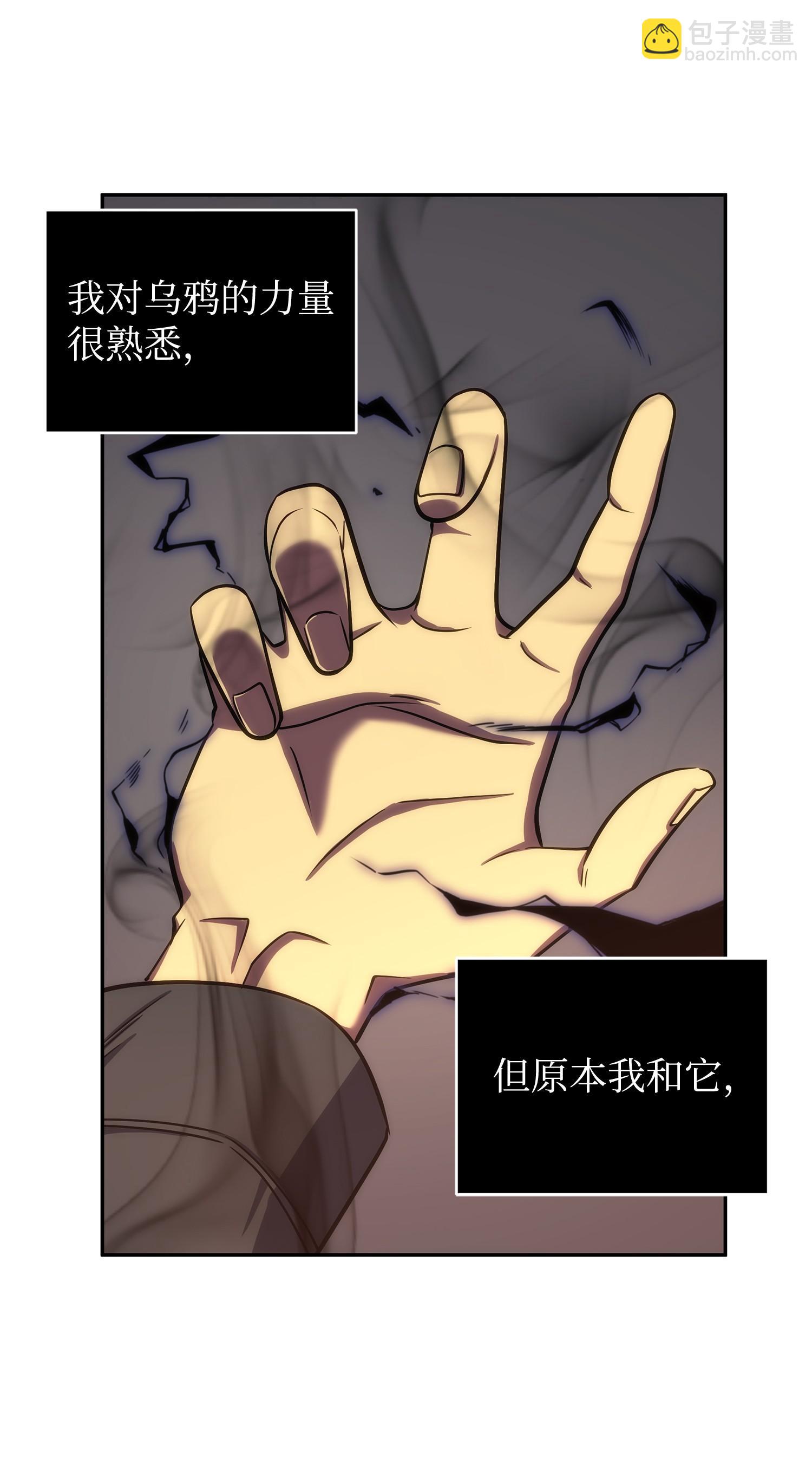 247 乌鸦的目的38
