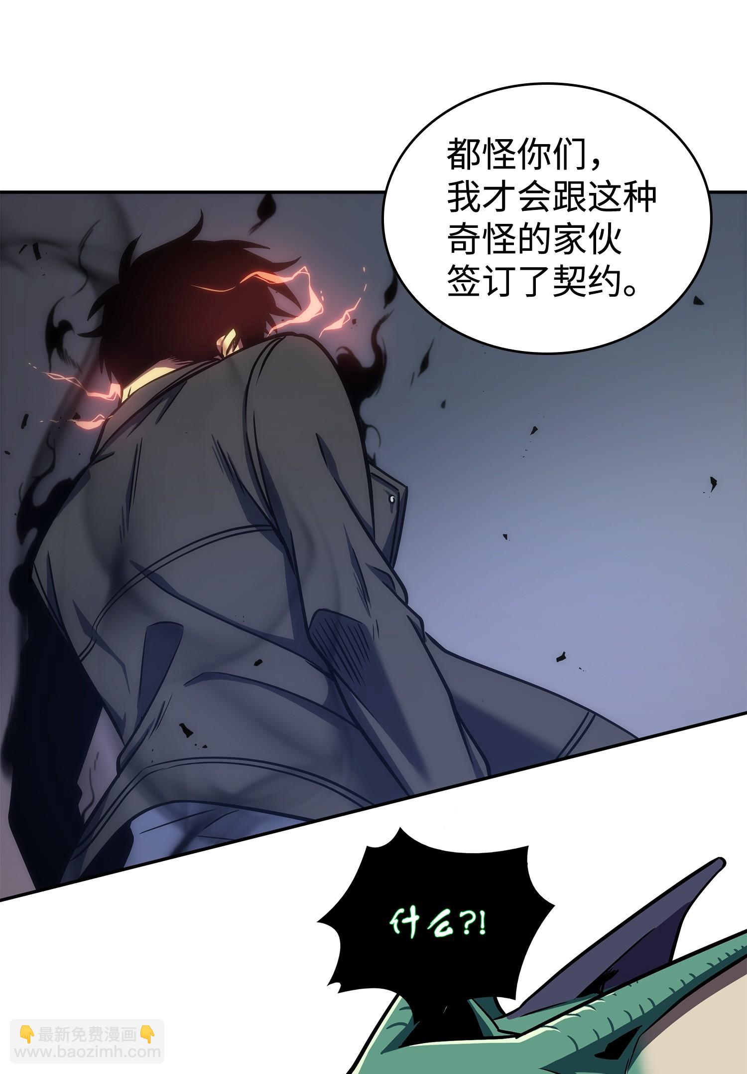 247 乌鸦的目的42