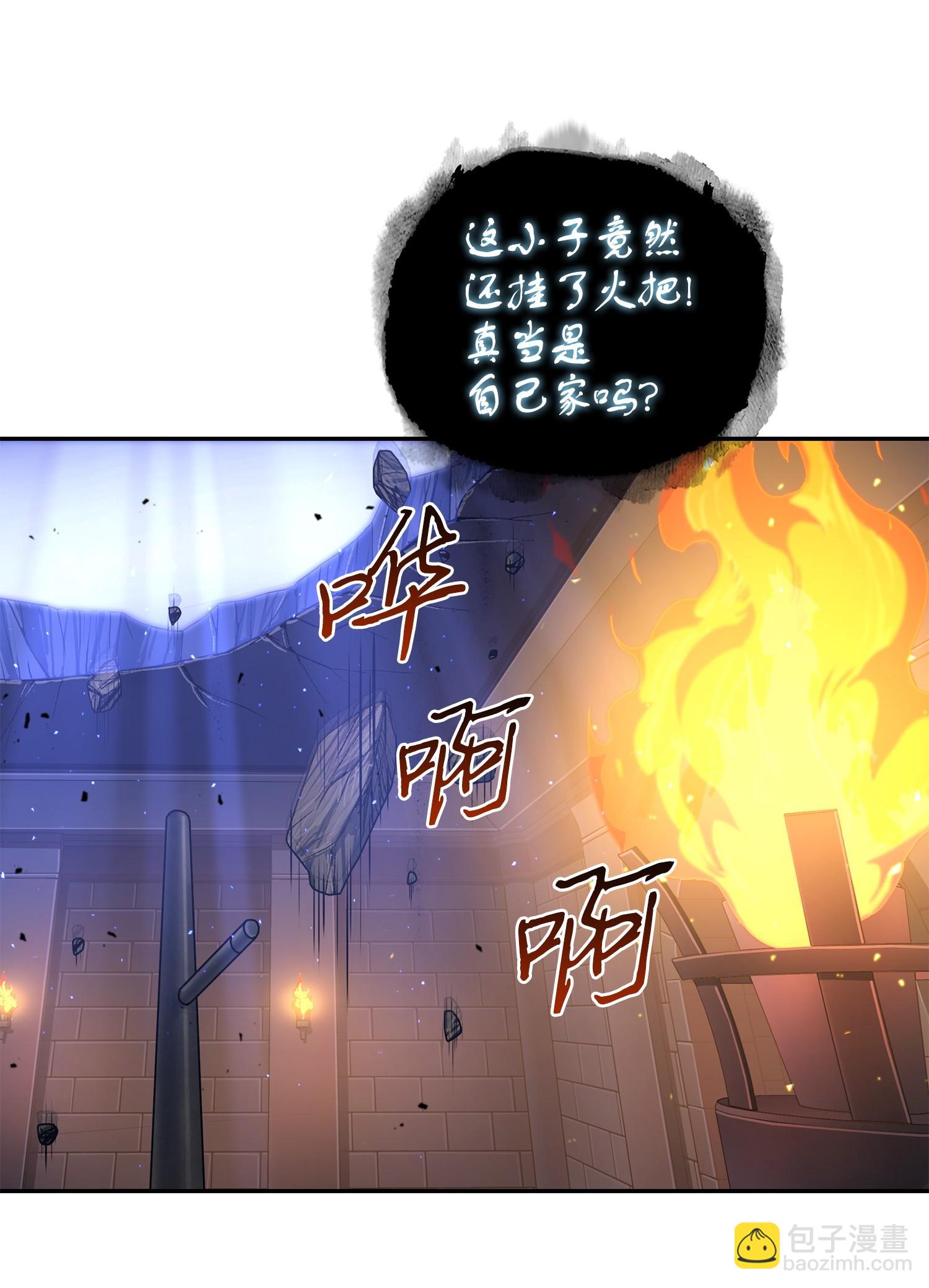247 乌鸦的目的5