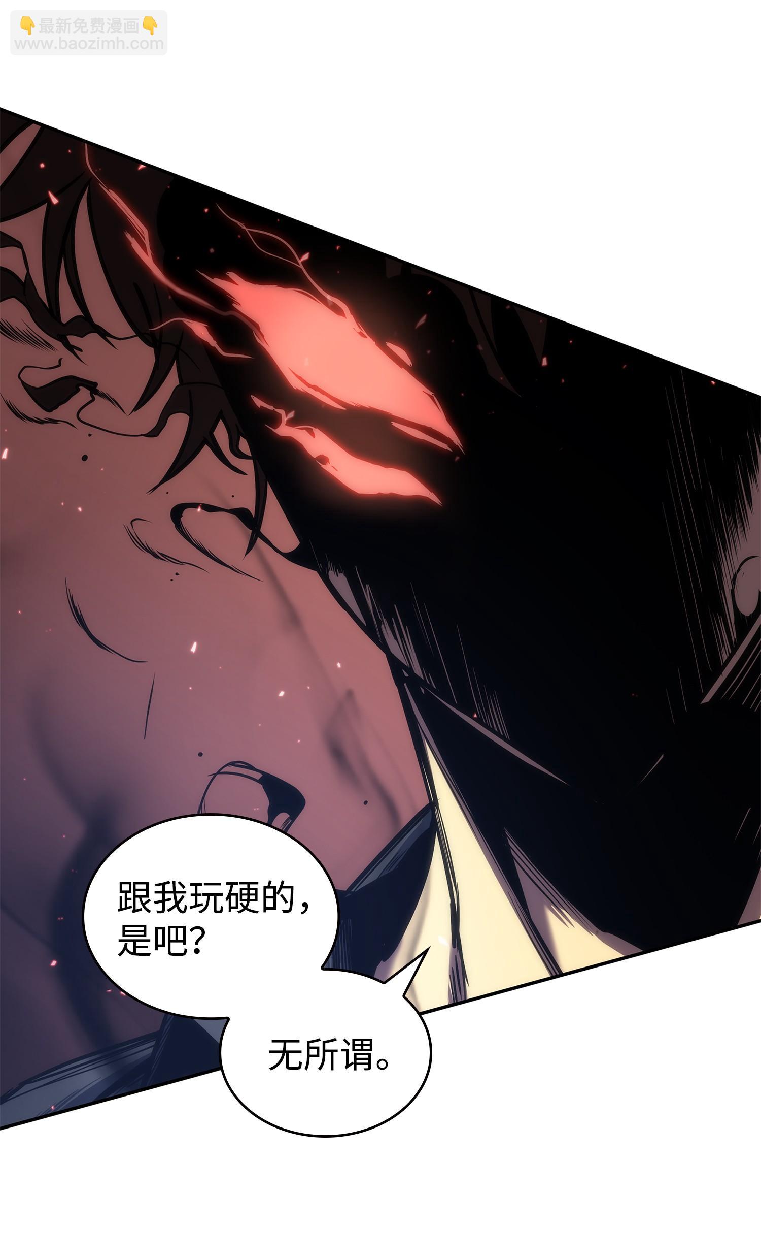 247 乌鸦的目的57