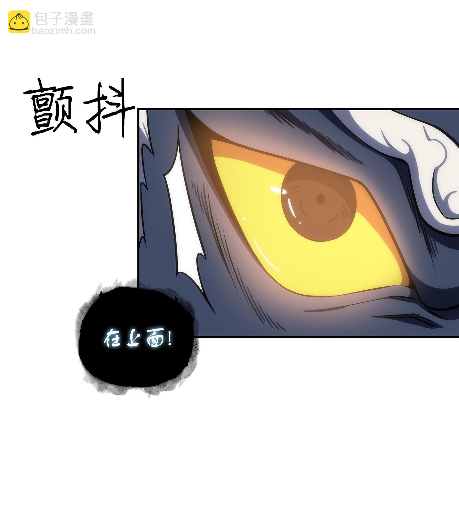 247 乌鸦的目的6