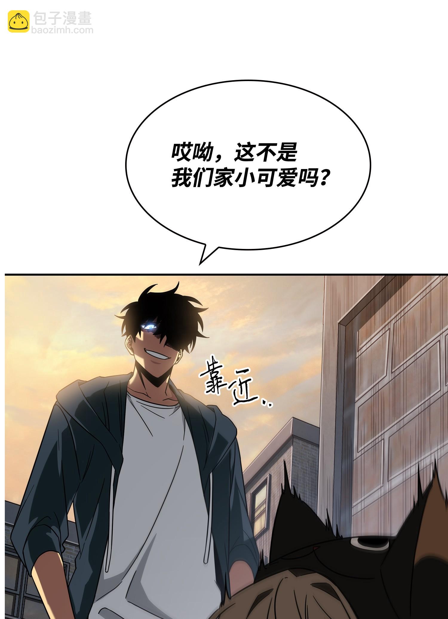 256 小可爱66