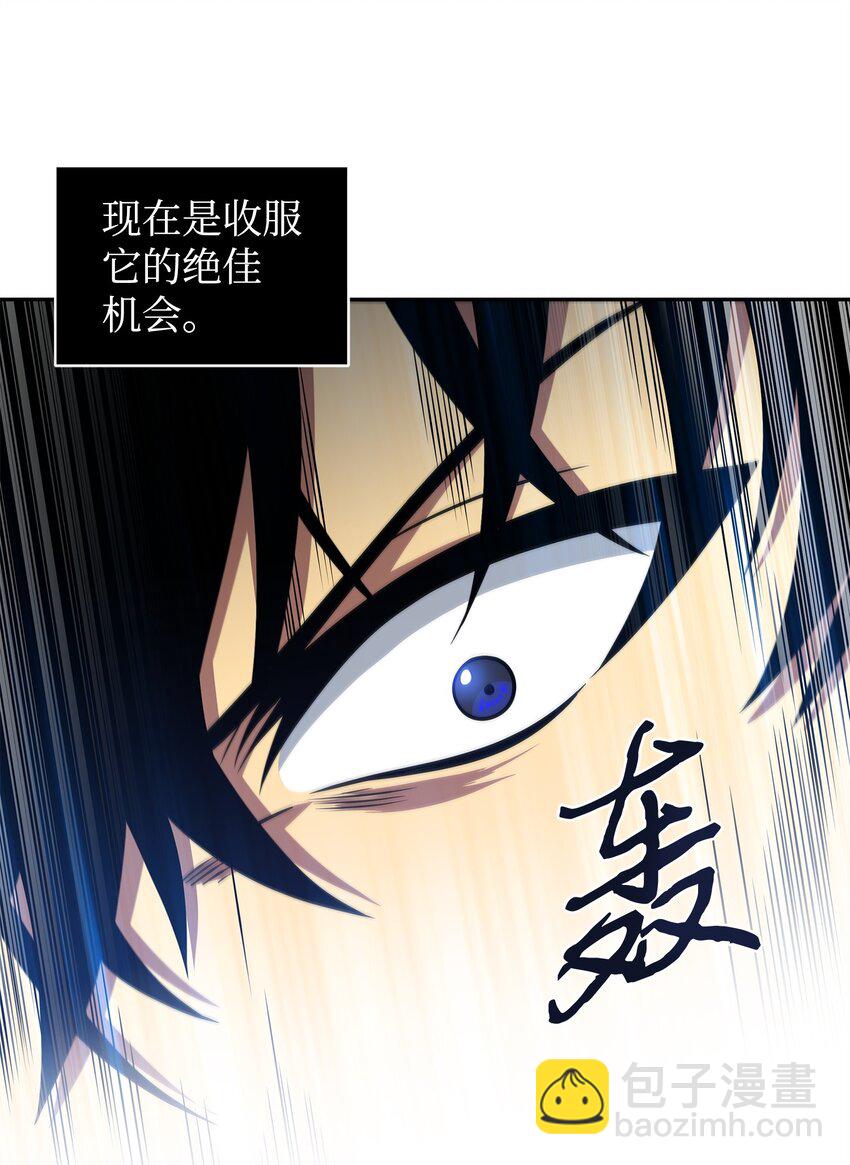 300 服从训练13