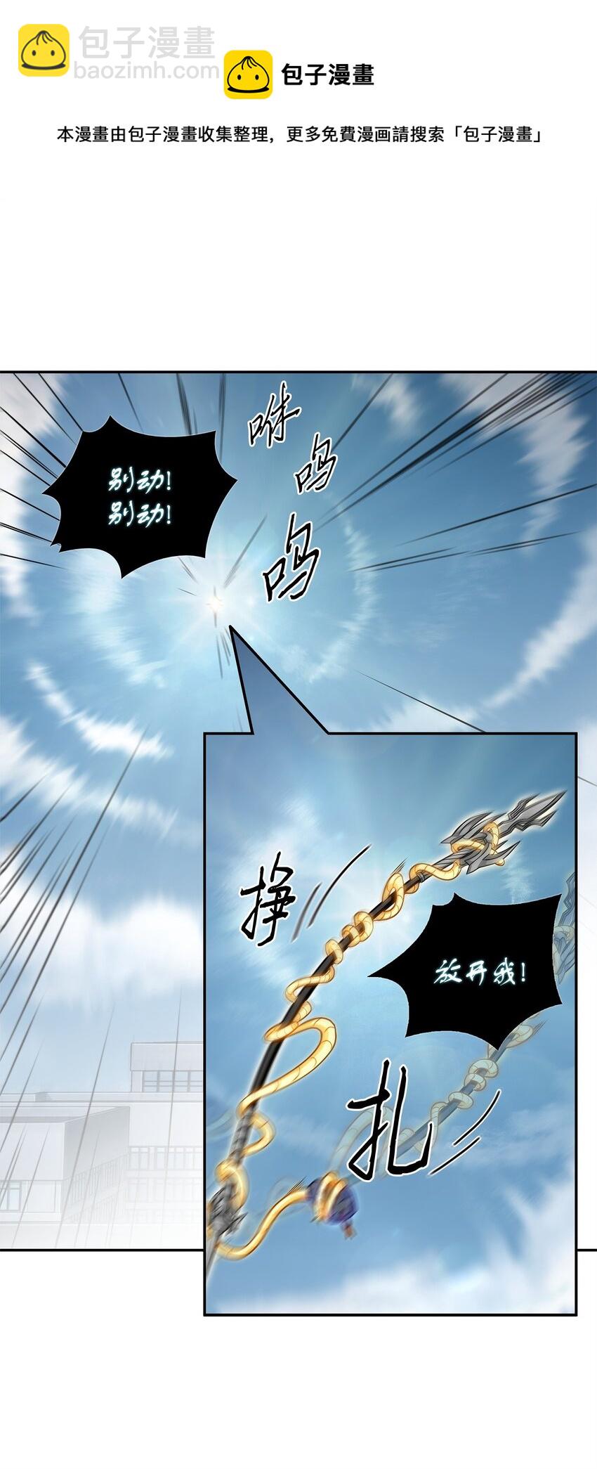 300 服从训练4
