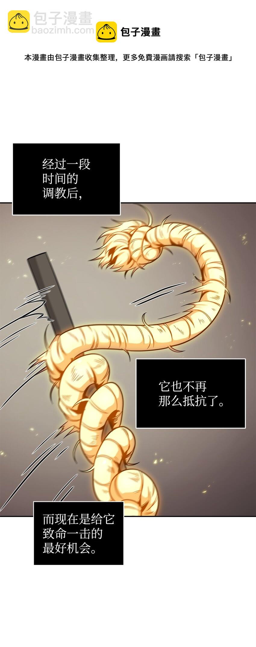 300 服从训练64