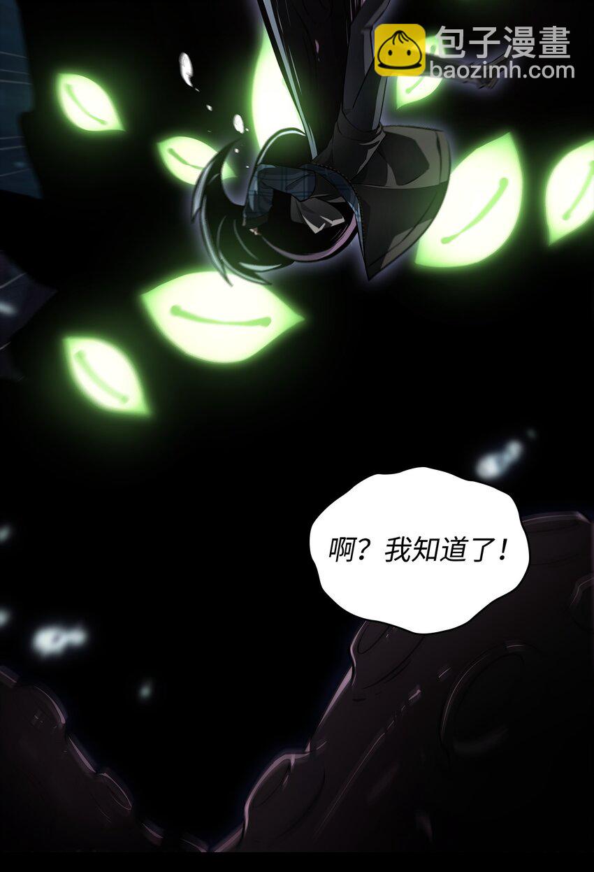 402 偶遇摇篮7