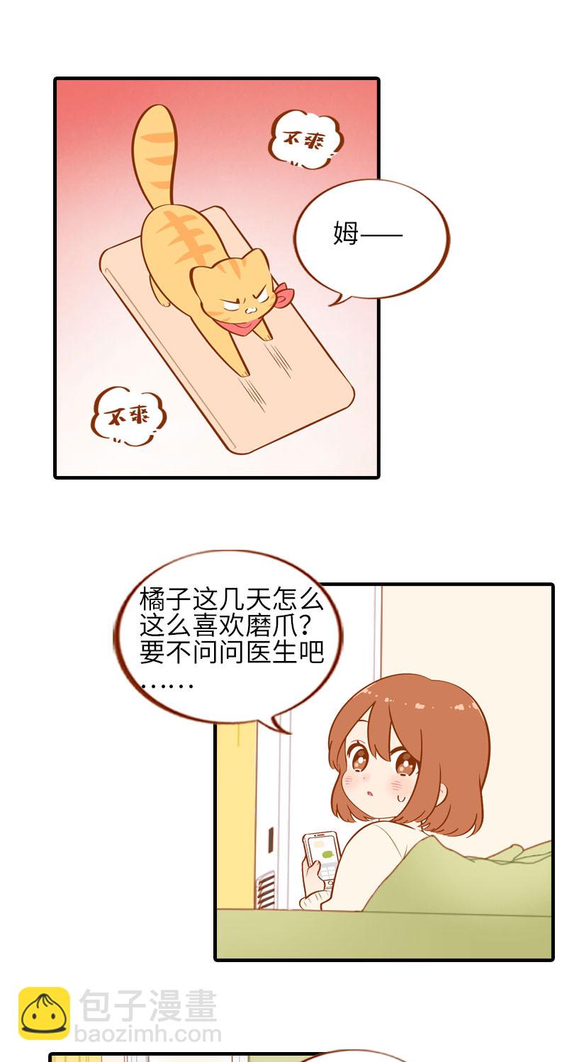 第20话 因磨爪而起的饭局1