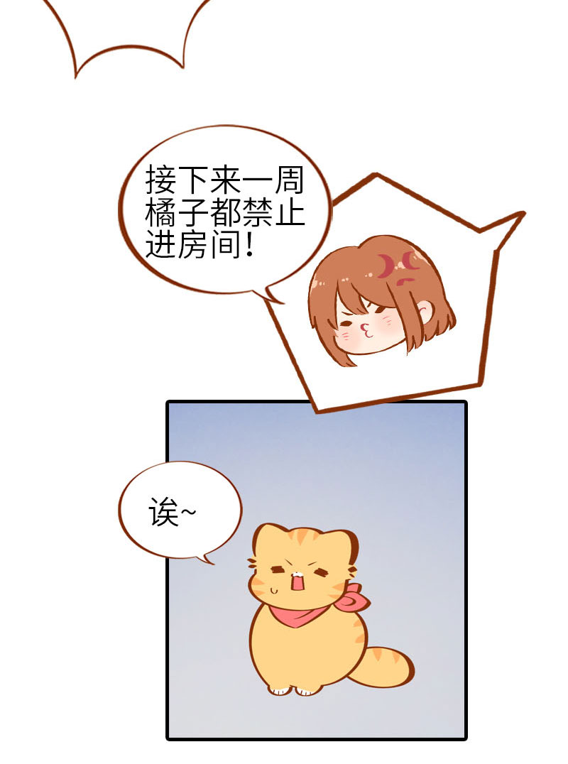 第28话 热衷参与家事的男主人10