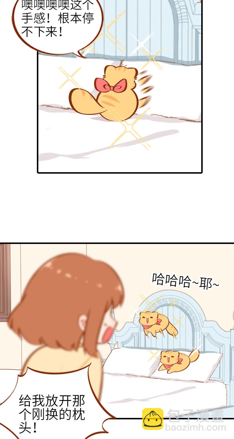 第28话 热衷参与家事的男主人9