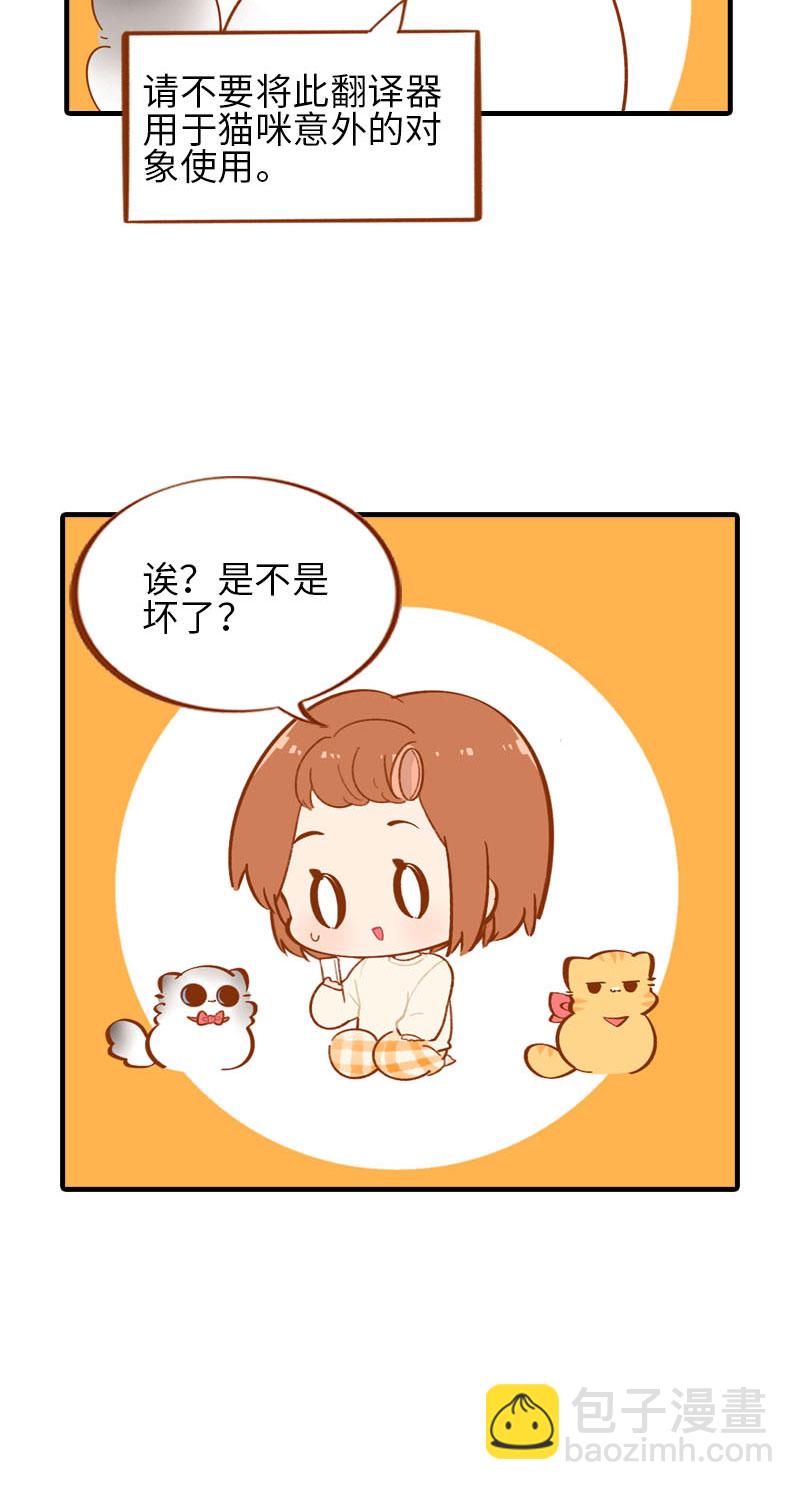 第53话 猫咪翻译机10
