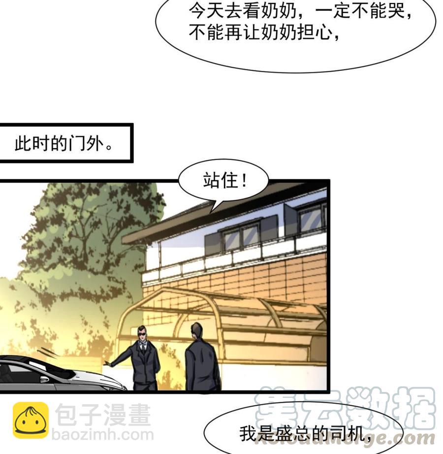 第365话 去往盛家的路……16