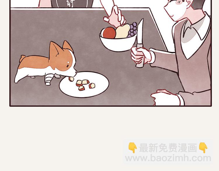 第0021话 水果4