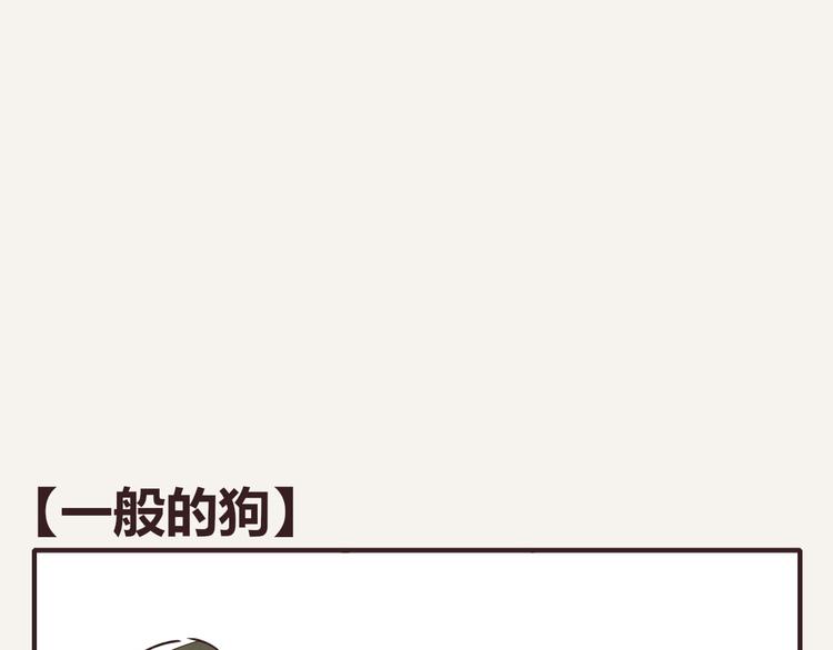 第0146话 一般的狗0