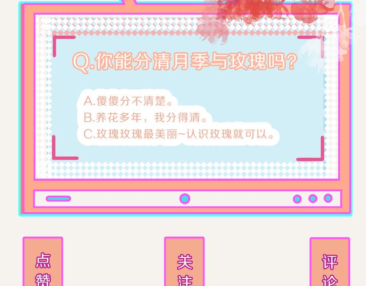 第0162话 玫瑰与月季19