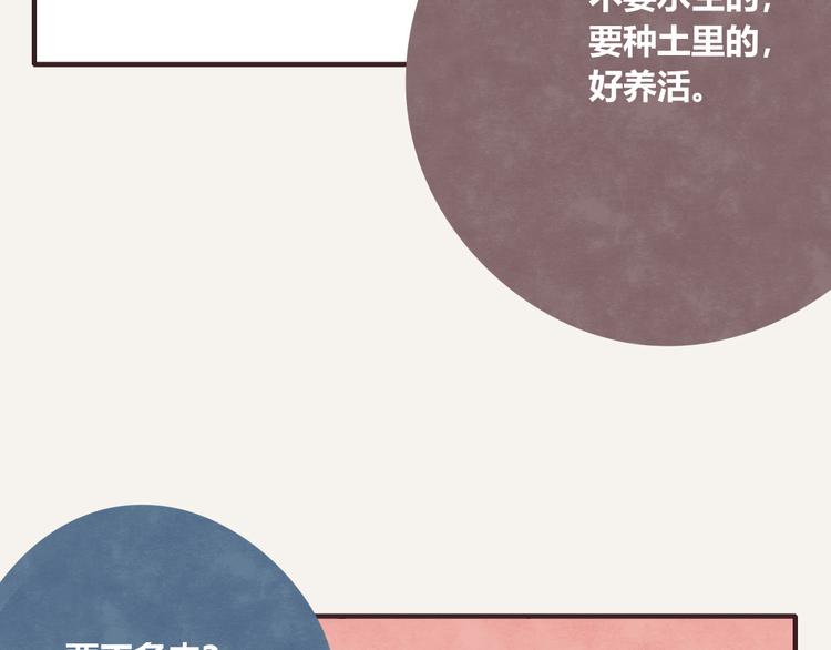 第0164话 多肉10