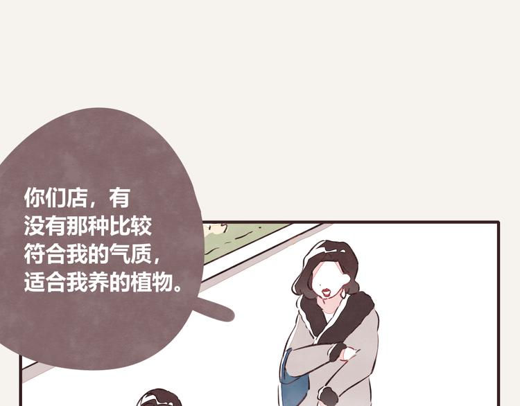 第0164话 多肉3