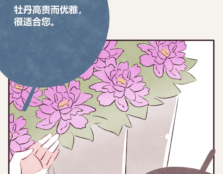 第0164话 多肉6