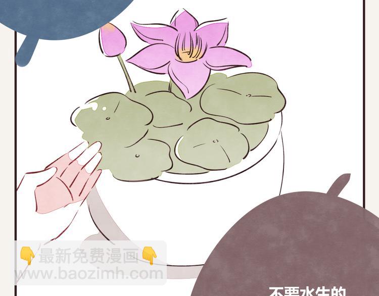 第0164话 多肉9