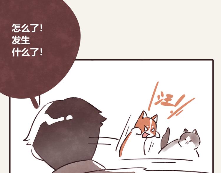 第0284话 亲兄妹116