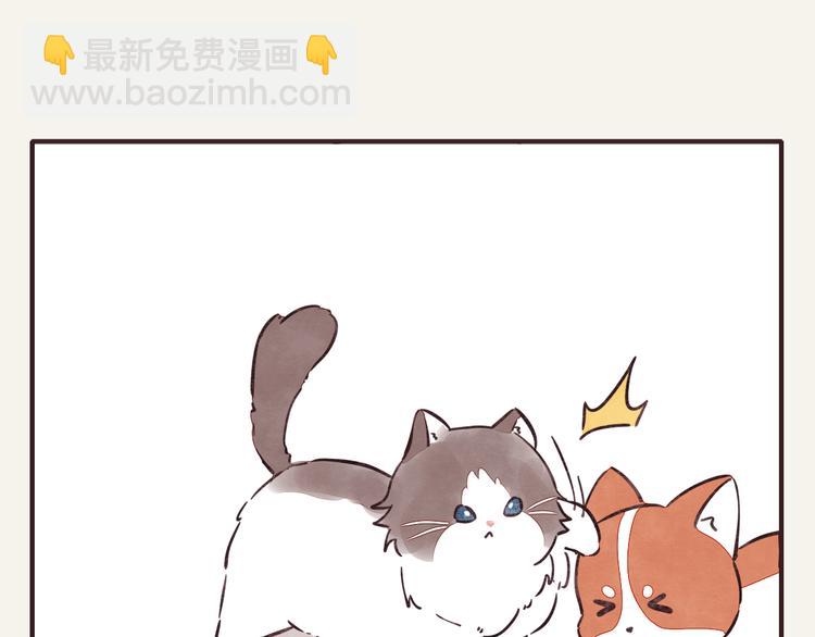 第0284话 亲兄妹16