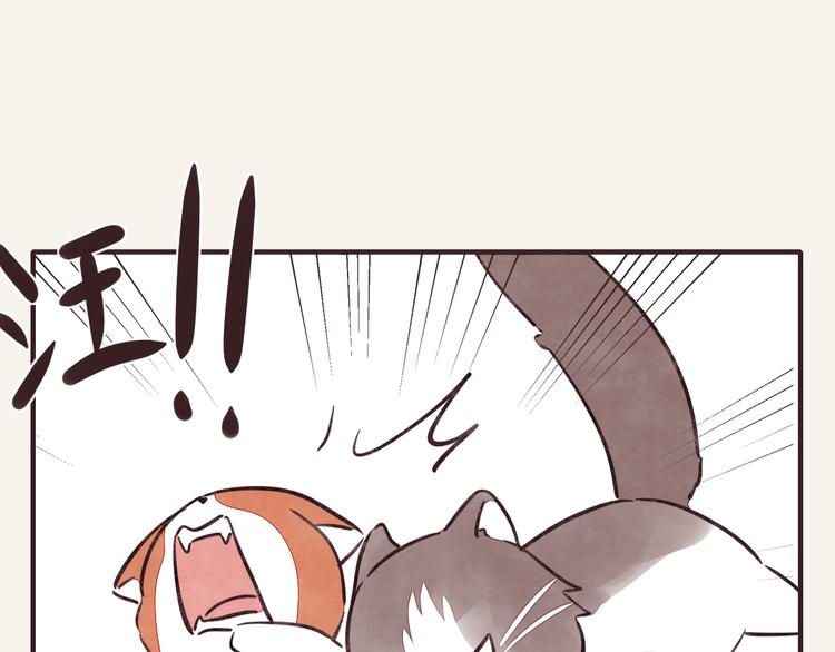 第0286话 亲兄妹213