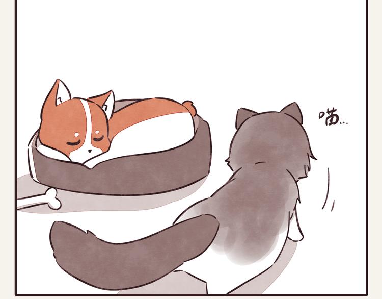 第0291话 亲兄妹41