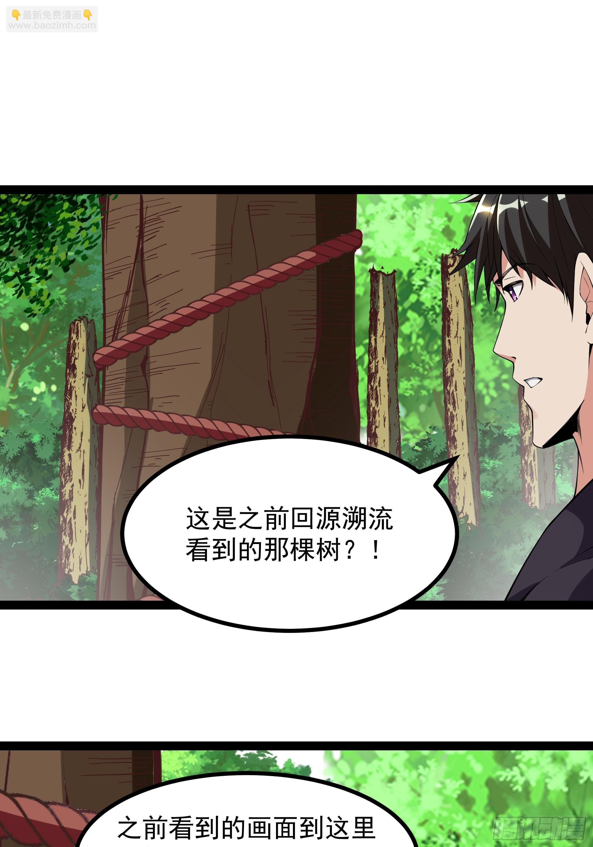 第321话 白灵秘境21