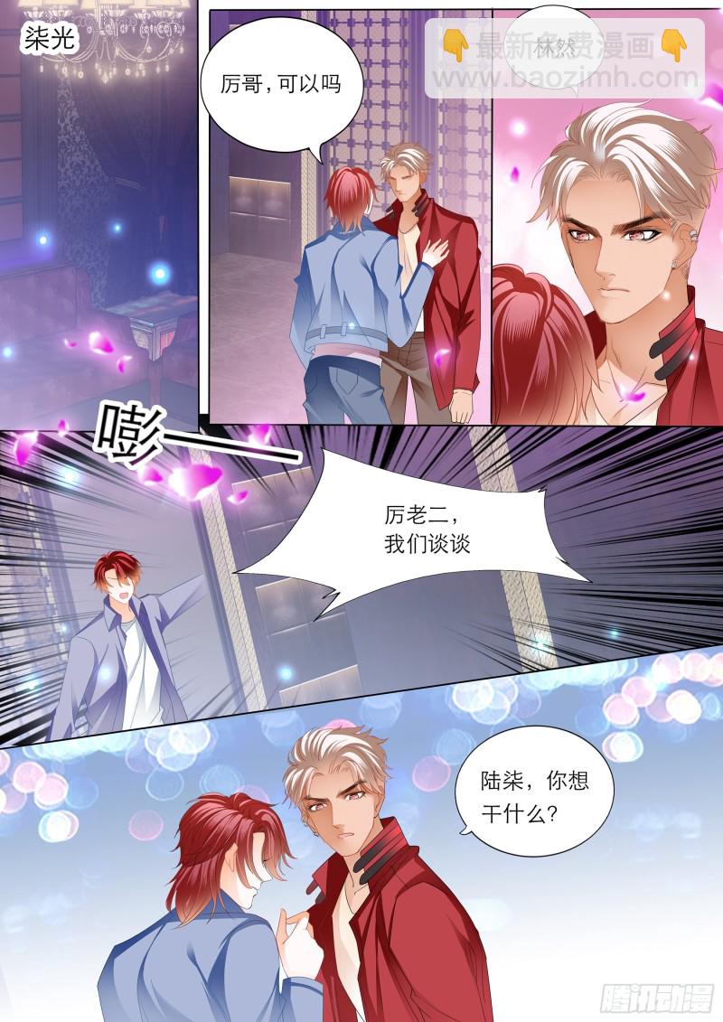 陆柒的真心11