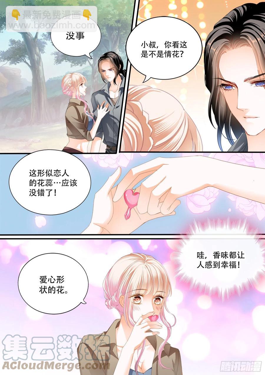 情花飘香10