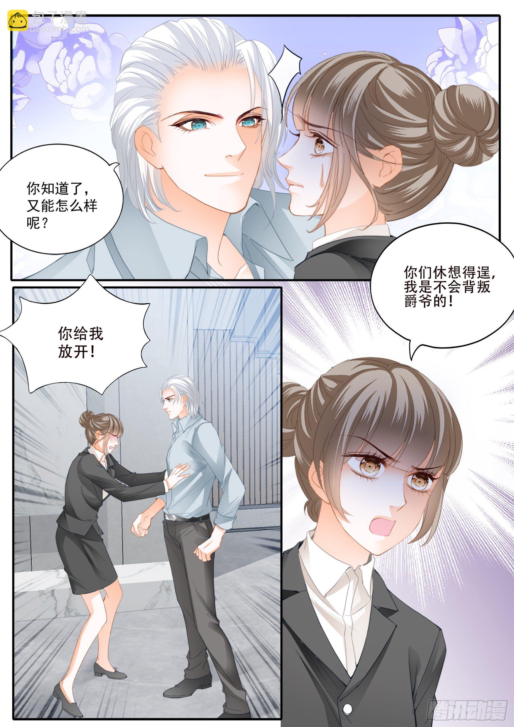 保护爵爷的小文2