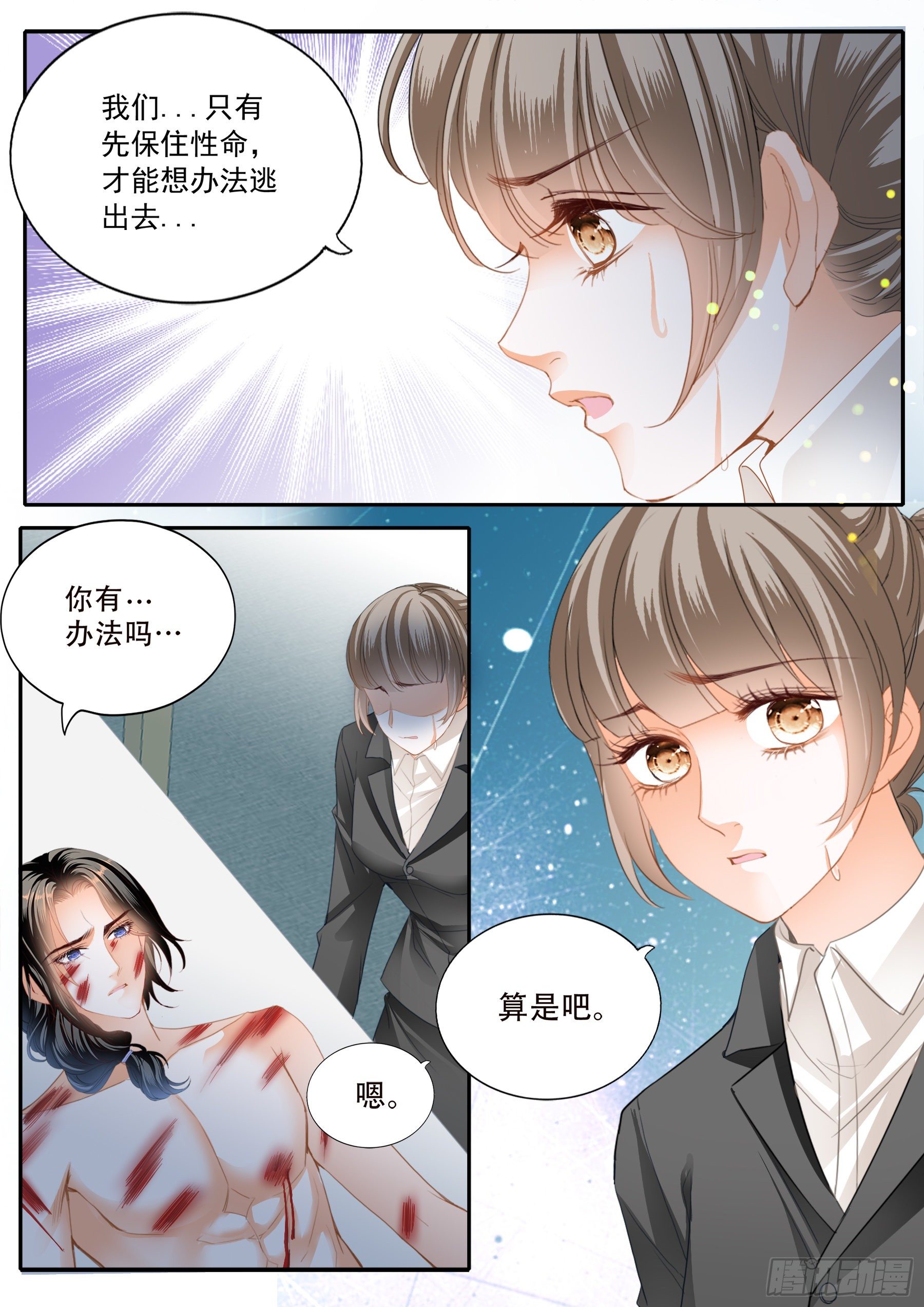 保护爵爷的小文8
